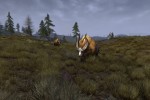 lotro—fallows-03