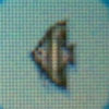 Angelfish.jpg
