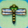 Banded_dragonfly1.jpg