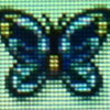Birdwing_butterfly.jpg