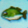 Black_bass1.jpg