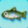 Cherry_salmon.jpg