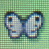 Common_butterfly1.jpg