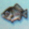 Crucian_carp1.jpg