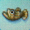 Freshwater_goby2.jpg