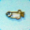 Killifish2.jpg
