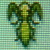 Mantis1.jpg