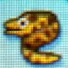 Moray_eel.jpg