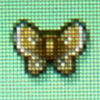 Moth1.jpg