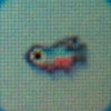 Neon_tetra2.jpg