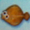 Olive_flounder.jpg