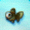 Pop eyed goldfish.jpg