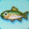 Rainbow_trout.jpg