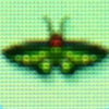 Raja_brook_butterfly1.jpg
