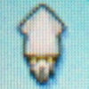 Squid1.jpg
