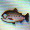 Stringfish1.jpg
