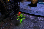 hendrix_poison_ivy_closeup_02