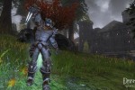 darkfall-unholy-wars-screenshot-battlebrand