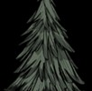 arbol